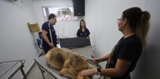 Secom Primeiro Dia Hospital Público Veterinário Foto Mauro Neto Secom ()