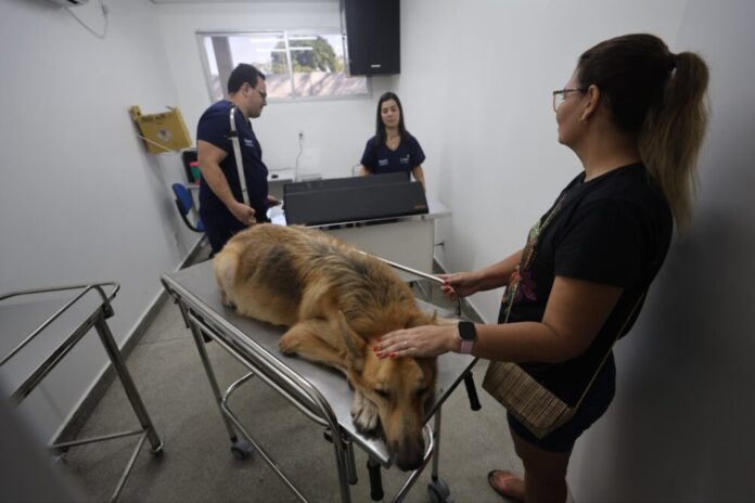 Secom Primeiro Dia Hospital Público Veterinário Foto Mauro Neto Secom () Secom Primeiro Dia Hospital Público Veterinário Foto Mauro Neto Secom ()