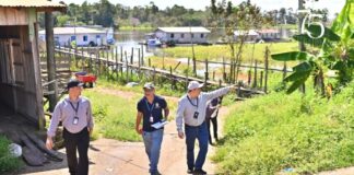 especial tce anos ()