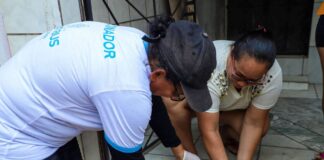 imunização contra raiva ()