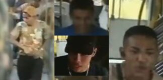 procurados manaus () ()