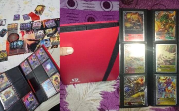 receptacao () receptacao ()