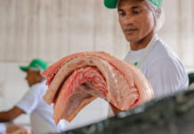 Feira do Pirarucu retorna nesta terça-feira com cortes a partir de R$ 6 o quilo em Manaus