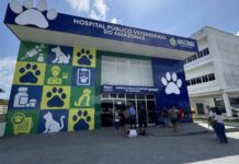 Hospital Público Veterinário do Amazonas realizou mais de 23 mil atendimentos em um mês