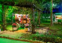 Holambra (SP) celebra o Natal com atrações, luzes e diversão no recinto da Expoflora