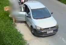 Dema identifica mãe e filha que abandonaram cadela e filhotes em matagal de Manaus