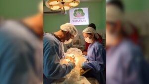 Novembro Azul Pet: A importância da castração para a saúde dos cães e gatos machos