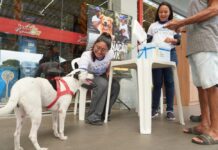 Vacinação antirrábica é realizada em 10 unidades do Super Nova Era até sábado (8); veja quais