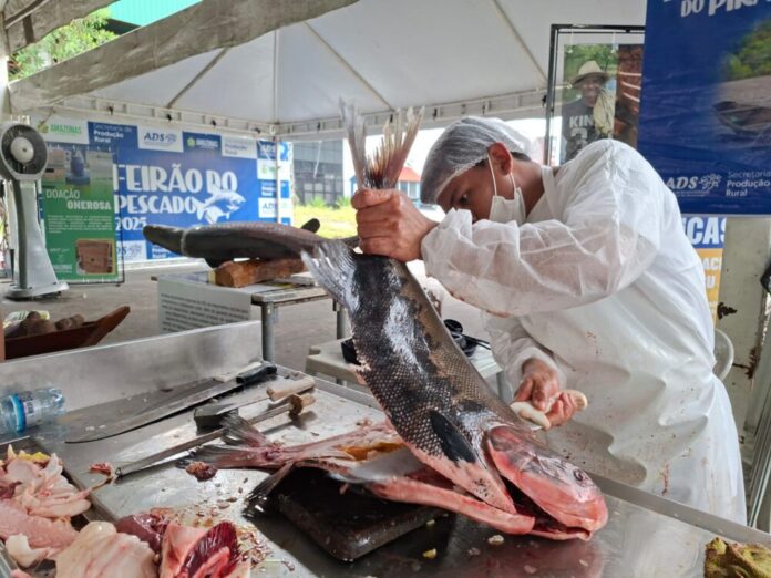 ADS_Feirão do Pescado_Foto Ruth Jucá 3