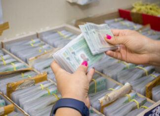 Detran-AM suspende serviços de habilitação por adequação à CNH do Brasil