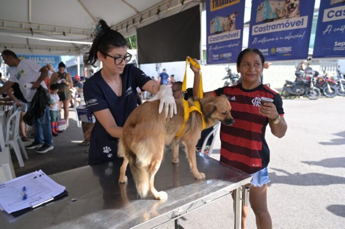 Divulgação_Sepet (2)