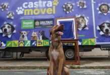 Castramóvel é inaugurado no Viver Melhor e oferecerá triagem, cirurgias e vacinação