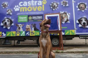 Castramóvel é inaugurado no Viver Melhor e oferecerá triagem, cirurgias e vacinação