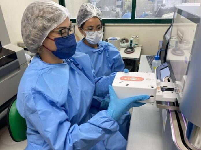 Oropouche Surto de Oropouche na Amazônica Ocidental foi causado pelo inseto maruim-radardasaude