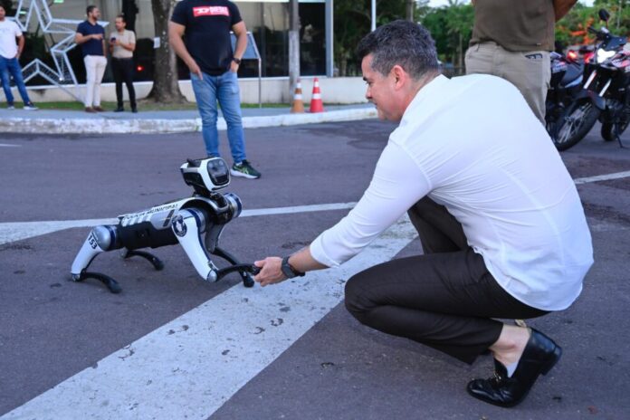 Segurança municipal (3)