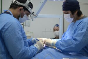 Hospital Público Veterinário do Amazonas realizou mais de 70 mil atendimentos e cadastrou 9 mil animais