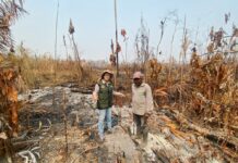 Pós-COP 30: Inovações tecnológicas e avanços em discussões de sustentabilidade se destacam como legado da conferência Pós-COP 30: Inovações tecnológicas e avanços em discussões de sustentabilidade se destacam como legado da conferência