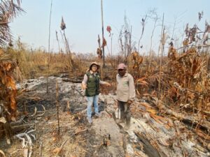 Pós-COP 30: Inovações tecnológicas e avanços em discussões de sustentabilidade se destacam como legado da conferência