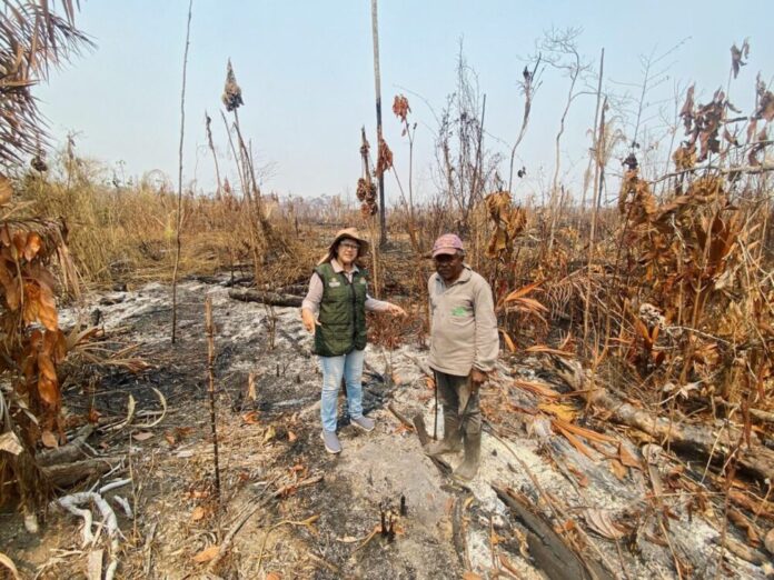 WhatsApp Image 2025-12-18 at 13.32.37 Pós-COP 30: Inovações tecnológicas e avanços em discussões de sustentabilidade se destacam como legado da conferência