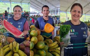 Feiras de Produtos Regionais têm programação divulgada para a primeira semana de dezembro