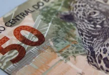 Salários médios de fundações privadas e associações sem fins lucrativos superam empresas em 2023, aponta IBGE