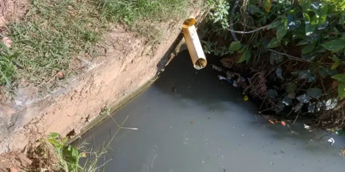 Quilombo Maria Joaquina em Cabo Frio denuncia despejo de esgoto no Brejo da Flexeira; MPF cobra remoção de ligações clandestinas, despoluição e indenização de até R$ 1,2 milhão