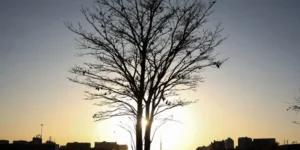 Duas pesquisadoras da Uerj entram para o IPCC da ONU no 7º Ciclo de Avaliação, destacando Brasil e participação feminina