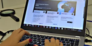 Vendas do Tesouro Direto somam 6,193 bilhões em novembro, com Selic liderando demanda e estoque próximo de 205,4 bilhões