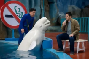 Vídeo viral de beluga em parque aquático na China é encenação para alertar turistas a não fumar em locais fechados