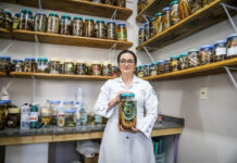 Pesquisadora do Amazonas é premiada por estudo sobre tratamento de acidentes com jararacas