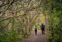 Trilha do Ararapira abre travessia inédita no Parque do Superagui, no litoral do Paraná