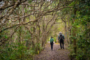 Trilha do Ararapira abre travessia inédita no Parque do Superagui, no litoral do Paraná