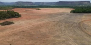 Abiove Deixa a Moratória da Soja e Abre Debate Sobre Desmatamento na Amazônia