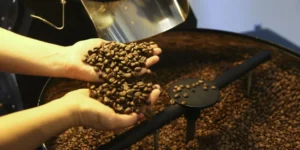 Exportação de Café Brasileiro Bate Recorde de Receita em 2025 Apesar da Queda no Volume