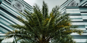 PF Adia Depoimentos Cruciais no Caso Banco Master; Defesas Alegam Falta de Acesso aos Autos