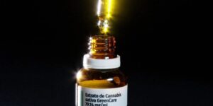 Anvisa libera cultivo de cannabis por empresas e amplia acesso a medicamentos canábicos no Brasil