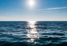 Tratado do Alto-Mar entra em vigor: Brasil reforça proteção de dois terços dos oceanos globais