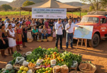 Agricultores familiares de Pernambuco doam mais de 106 toneladas de alimentos com apoio da Conab - Imagem Gerada por IA