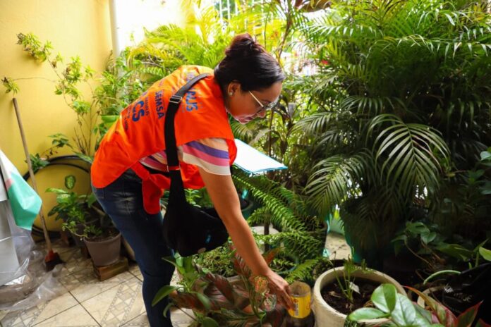 Prefeitura de Manaus alerta para aumento de acidentes com animais peçonhentos no inverno amazônico