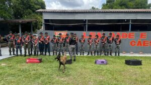 Polícia do Amazonas qualifica policiais para conduzir cães farejadores em detecção de substâncias