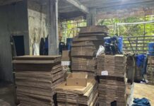 Ipaam acionará MP após irregularidades em frigorífico de pescados em Manacapuru