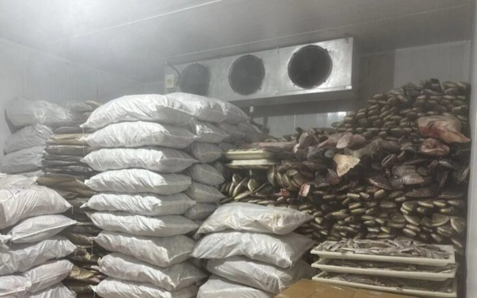 Ipaam multa frigorífico em R$ 2 milhões por irregularidades e descumprimento de embargo em Manacapuru