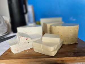 Idam impulsiona pecuária leiteira e queijarias no Amazonas com assistência técnica