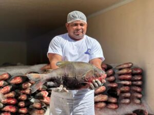 Governo do Amazonas injeta mais de R$ 23 milhões na agricultura familiar em 2025