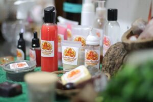 Sejusc impulsiona autonomia e renda para mulheres em vulnerabilidade com cursos profissionalizantes