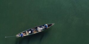 Ministério da Pesca cancela mais de 76 mil licenças após investigações de fraudes