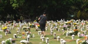 Cães e gatos agora podem ser sepultados em jazigos familiares em São Paulo