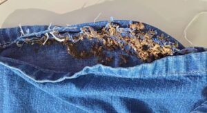 Irmãos são presos tentando levar drogas escondidas na roupa para cadeia em Novo Airão