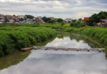 Manaus amplia proteção ao rio Negro com instalação da 14ª ecobarreira