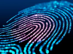 Biometria para benefícios sociais: entenda as regras de transição até 2027